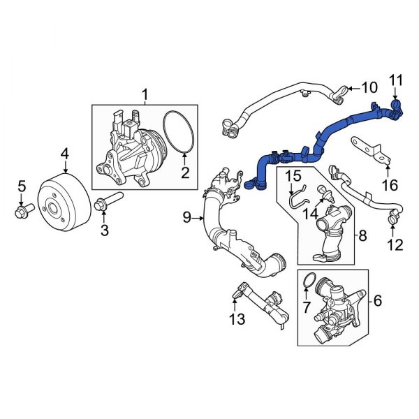 Radiator Coolant Hose