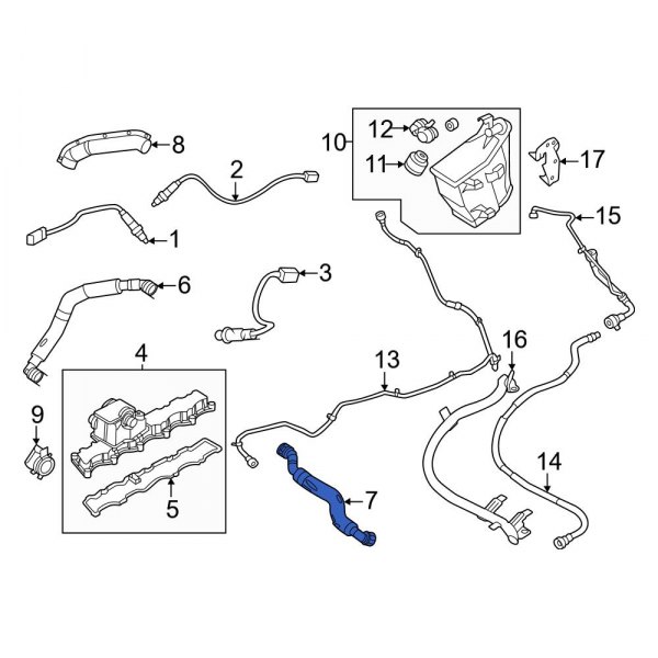 Evaporative Emissions System Lines