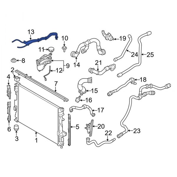 Engine Coolant Overflow Hose