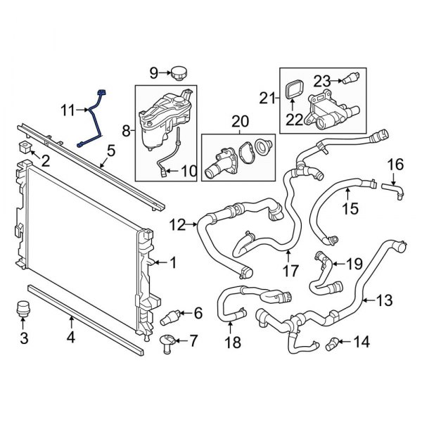 Engine Coolant Overflow Hose