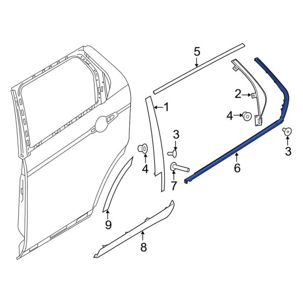 Door Belt Molding