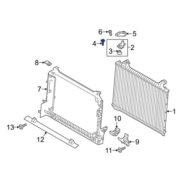 Radiator Mount Bolt