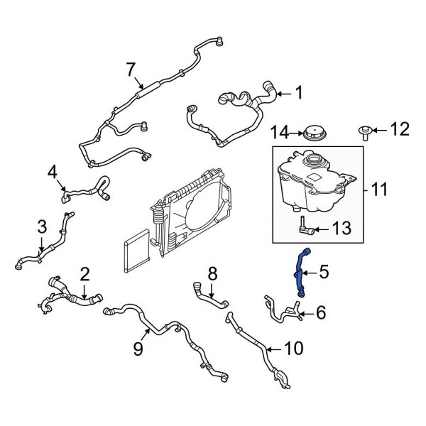 Radiator Coolant Hose