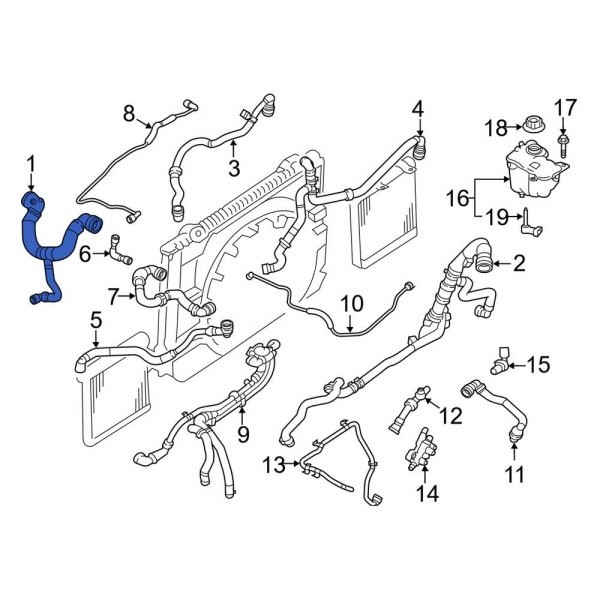 Radiator Coolant Hose