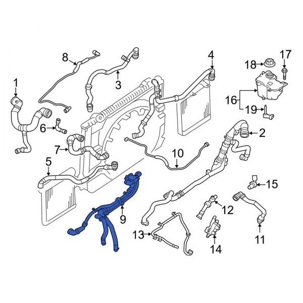 Radiator Coolant Hose