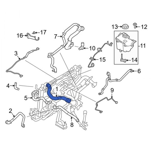 Radiator Coolant Hose