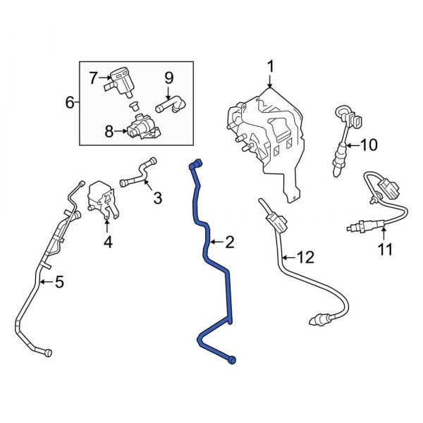 Evaporative Emissions System Lines