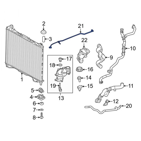 Engine Coolant Overflow Hose