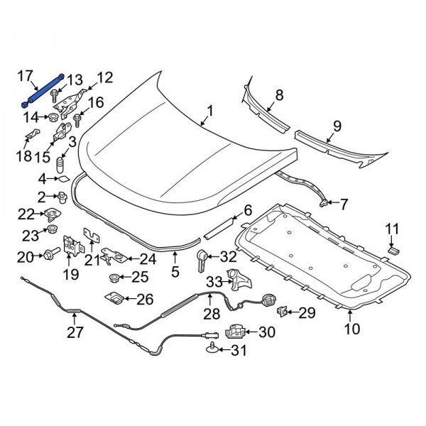 Hood Lift Support