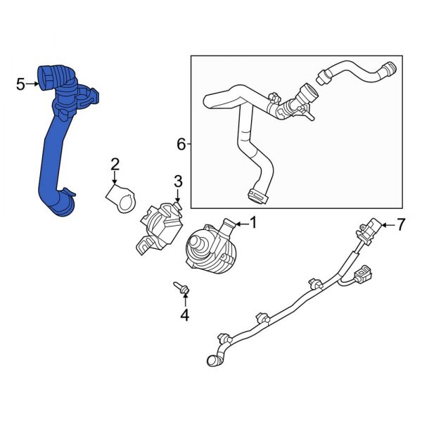 Radiator Coolant Hose