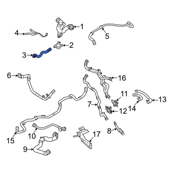 Radiator Coolant Hose