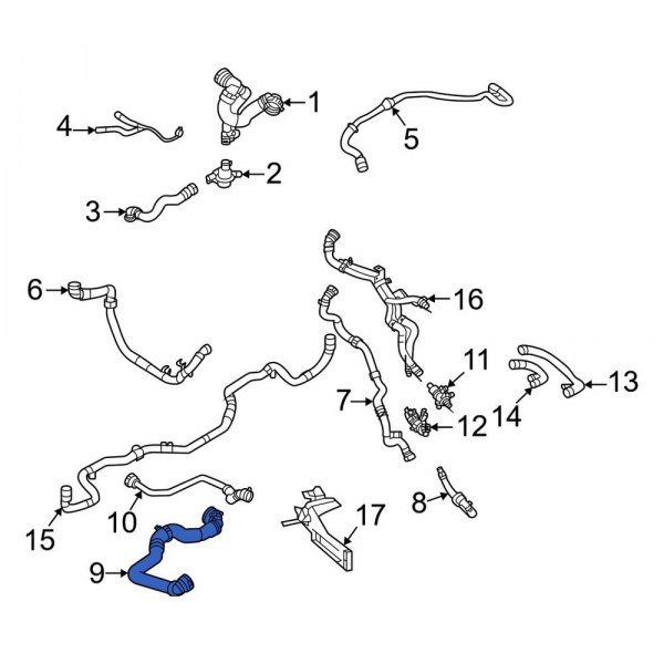 Radiator Coolant Hose