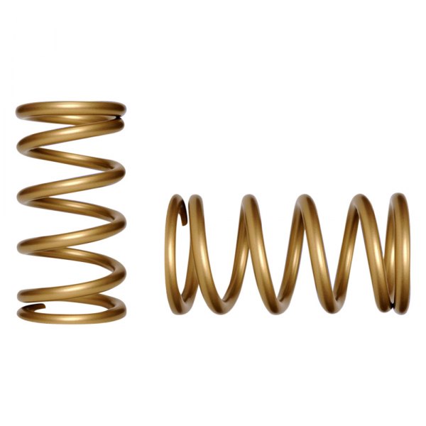 Landrum Performance Spring® - The Gold Series Front Coil Spring