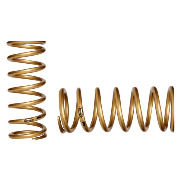 Landrum Performance Spring® - The Gold Series Rear Conventional Coil Spring
