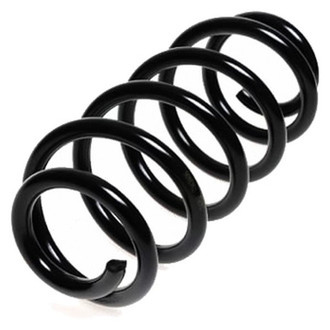 Lesjofors® - Front Coil Spring