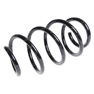 Lesjofors® - Front Coil Spring