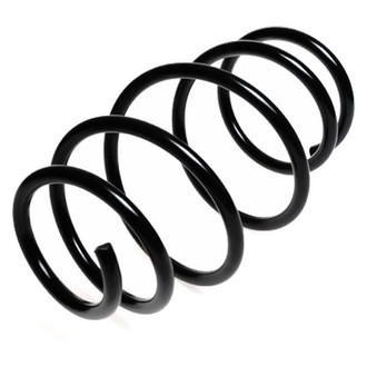 Lesjofors® - Front Coil Spring