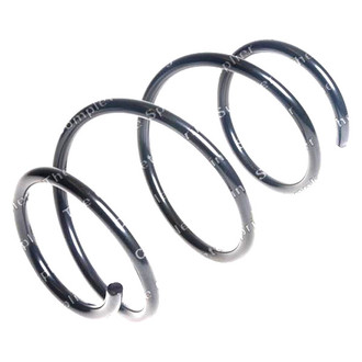 Lesjofors® - Front Coil Spring