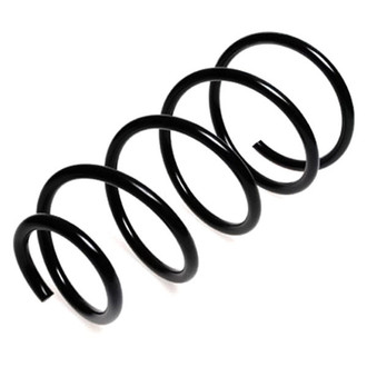 Lesjofors® - Front Coil Spring