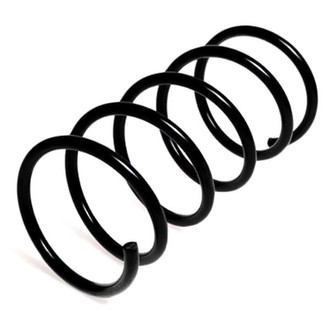 Lesjofors® - Front Coil Spring