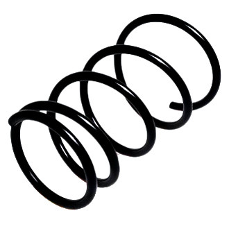 Lesjofors® - Front Coil Spring