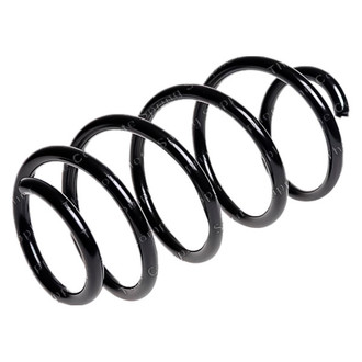 Lesjofors® - Front Coil Spring
