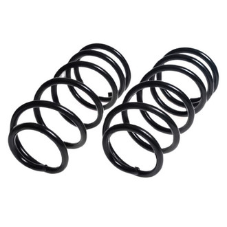 Lesjofors® - Front Coil Spring Set