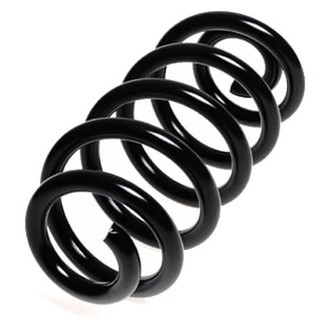 Lesjofors® - Rear Coil Spring