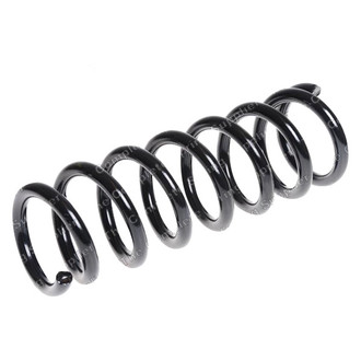 Lesjofors® - Rear Coil Spring