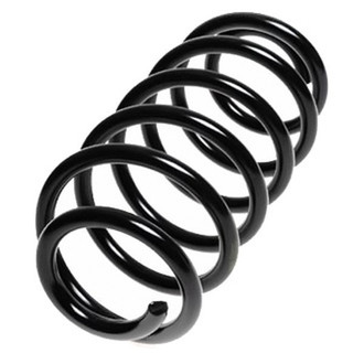 Lesjofors® - Rear Coil Spring