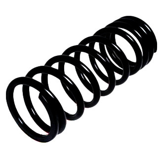 Lesjofors® - Rear Passenger Side Coil Spring