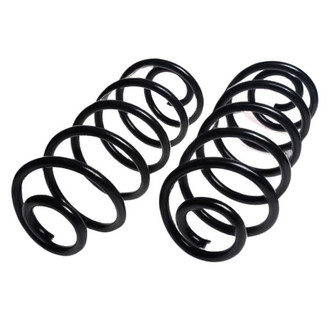 Lesjofors® - Rear Coil Springs