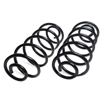 Lesjofors® - Front Coil Springs