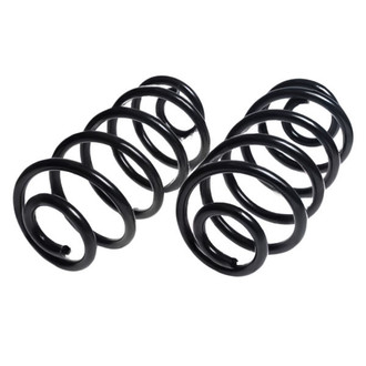 Lesjofors® - Rear Coil Spring Set