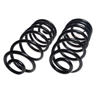 Lesjofors® - Rear Coil Springs