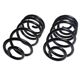 Lesjofors® - Rear Coil Springs