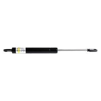 Lesjofors® - Hood Lift Support