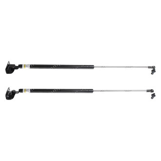 Lesjofors® - Liftgate Lift Support