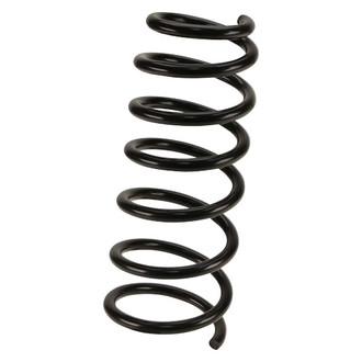 Lesjofors® - Rear Passenger Side Coil Spring