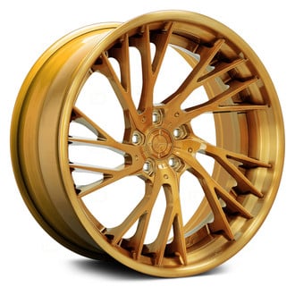 LEXANI FORGED® - LTS-03 3PC Custom Finish