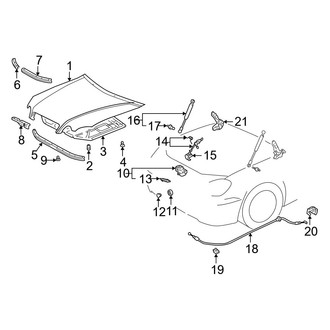 Lexus OE - Hood & Grille - Hood & Components