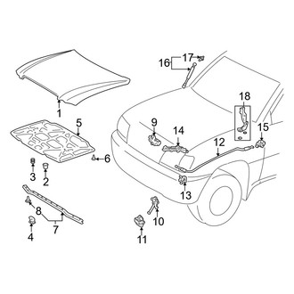 Lexus OE - Hood & Components
