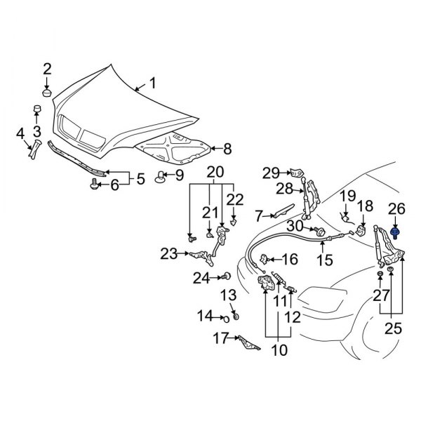 Hood Hinge Bolt