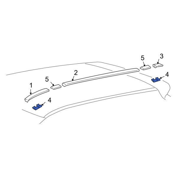 Roof Drip Molding Clip