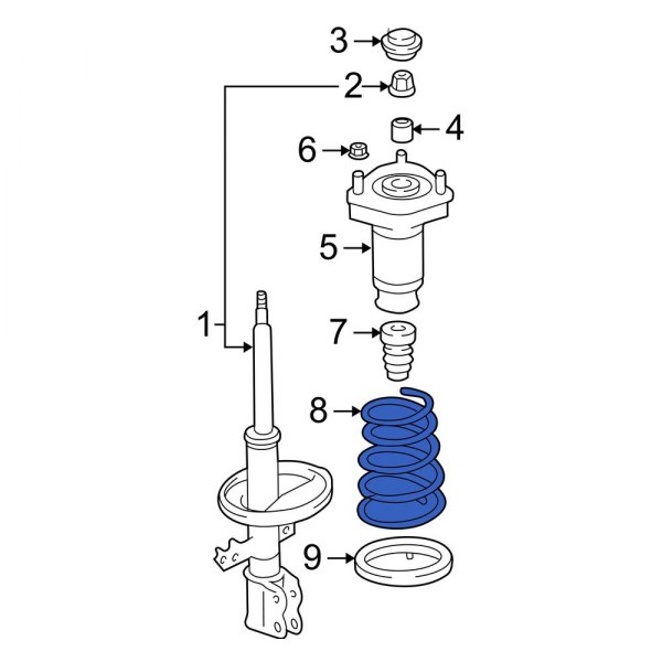 Coil Spring