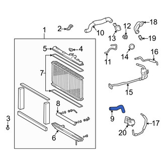 Lexus OE - Upper Radiator Coolant Hose