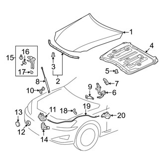 Lexus OE - Hood & Components (Base)