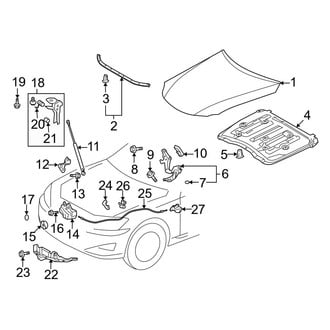 Lexus OE - Hood & Components