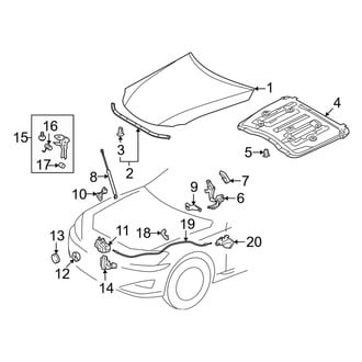 Lexus OE - Hood & Components (Convertible)
