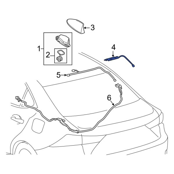 Antenna Amplifier